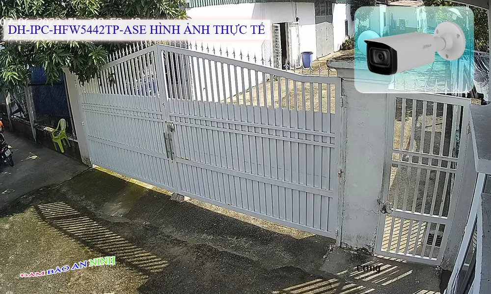 DH-IPC-HFW5442TP-ASE Camera Dahua